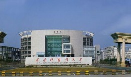 大爆料汉口学院视频播放,大爆料视频背后的真相与内幕